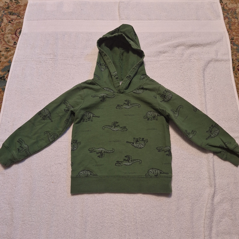 Green Dinosaur Print Kids Hoodie